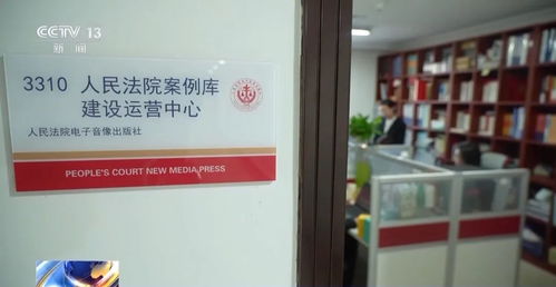 人民法院案例庫入庫參考案例選編（附案例庫使用指南）——以“網(wǎng)上購物系統(tǒng)”糾紛為例